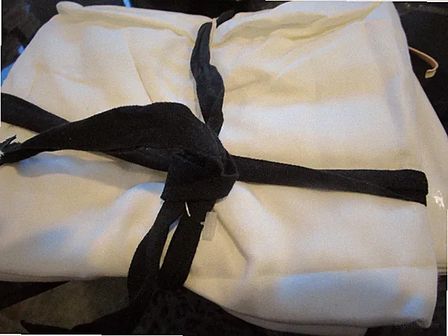 2 Pottery Barn Tencel shams Euro stone white New wo tags