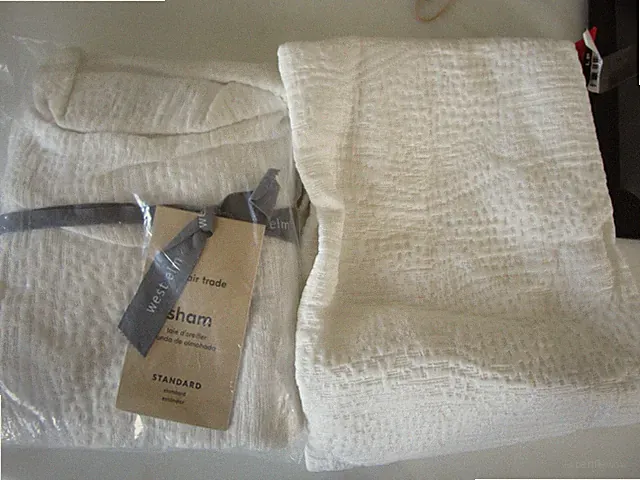 2 West Elm silky Tencel Cotton Matelasse standard shams stone white New wo tags