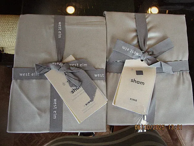 2 West Elm Tencel king platinum shams New w tag