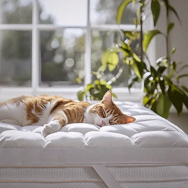 Double Stitch Cooling Mattress Topper-California King,TENCEL Blend, Soft Quilted