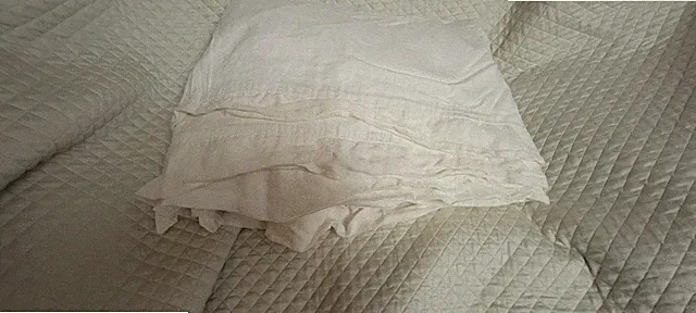 Pottery Barn Tencel Lyocell Duvet Cover full queen white linen trim exelent .
