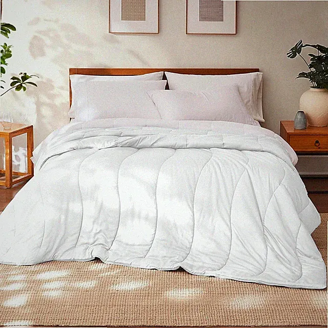 Tencel Lyocell Luxury Ultra Soft down Alternative Comforter, White, Queen