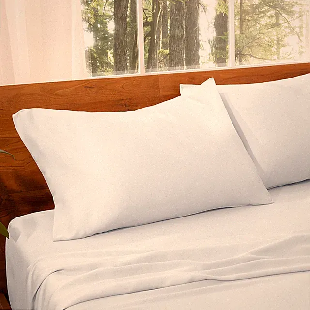 TENCEL™ Lyocell Pillowcase Set by Bare Home